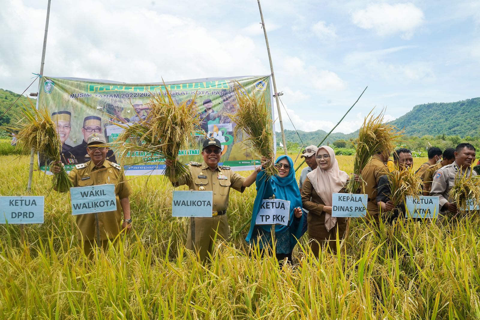 Panen Perdana Bersama Petani Parepare, Taufan Pawe Dorong Produksi Pertanian Terus Meningkat dan Berkualitas 